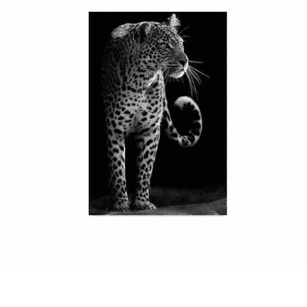 ArtHD Ref.a212 - Imagem 4