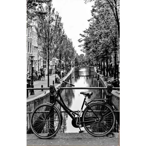 ArtHD Ref.m703 - Imagem 3