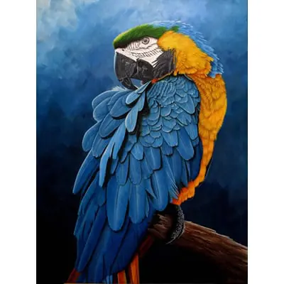 ArtHD Ref.a165 - Imagem 3