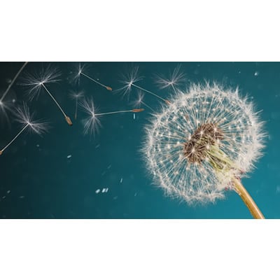 OFERTA RELÂMPAGO - 70% OFF - Sopro de Liberdade - 90x159cm - Imagem 4