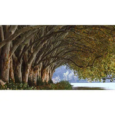 ArtHD Ref.t276 - Imagem 6
