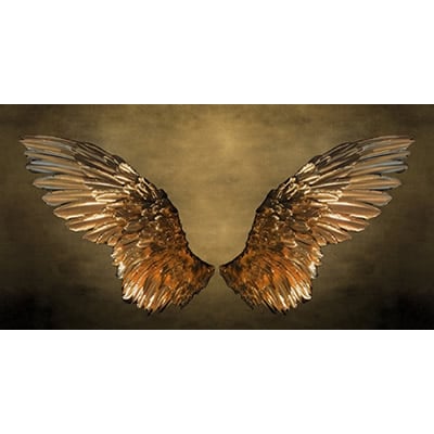 OFERTA RELÂMPAGO - 70%OFF - Asa Dourada - 90x170cm - Imagem 5