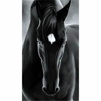 ArtHD Ref.a264 - Imagem 4
