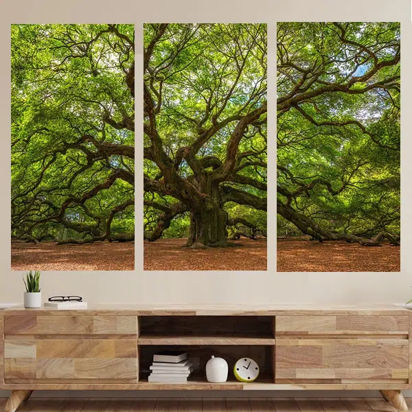 Trio307 - Natureza Viva - Imagem 2