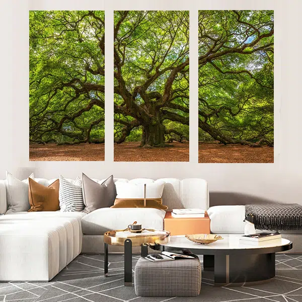 Trio307 - Natureza Viva - Imagem 3