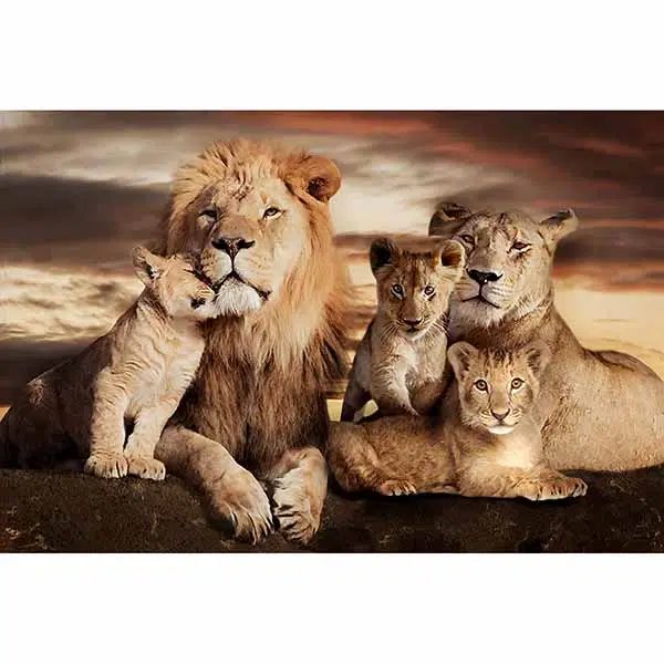OFERTA RELÂMPAGO - 70%OFF - Família de Leões - 70x105cm - Imagem 5