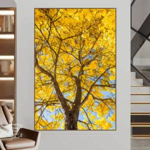 T346 - Ipê Amarelo