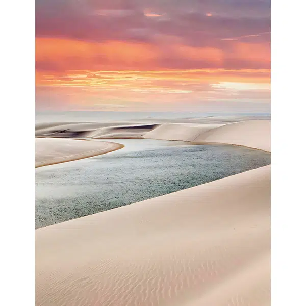 T169 - Paraíso - Imagem 4