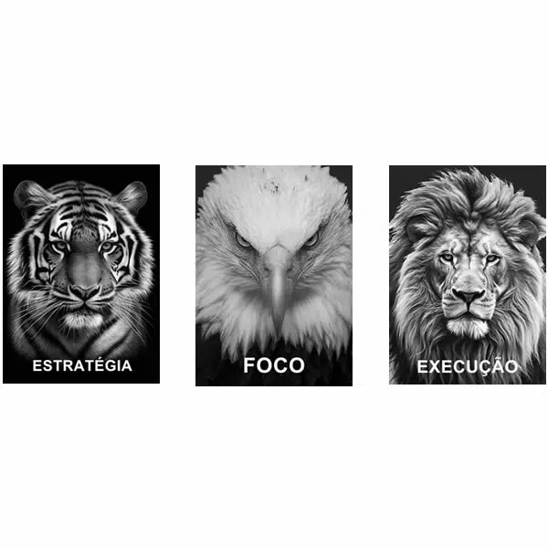 Trio101 - Retrato Vivo - Imagem 5