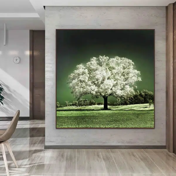 T151 - Ipê Branco - Imagem 4