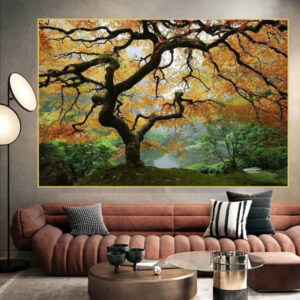 T208 - Lugar Perfeito