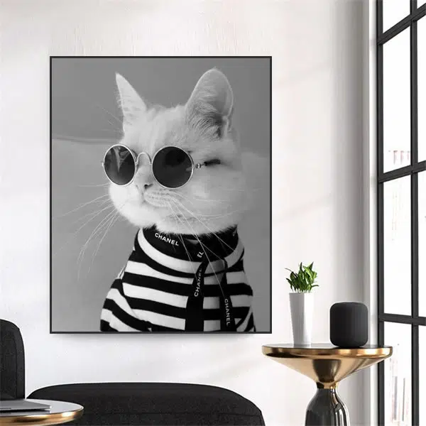 A107 - Glamour de Gato