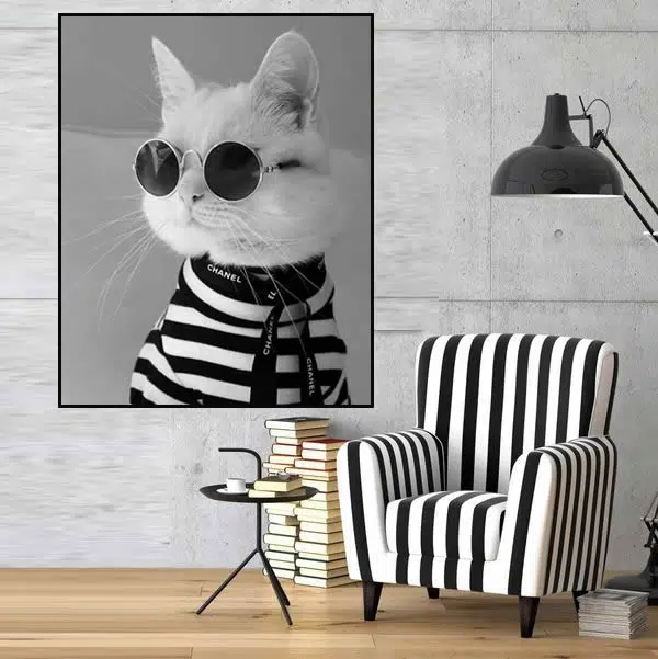 A107 - Glamour de Gato - Imagem 3
